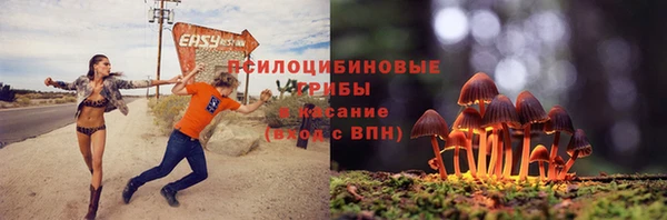 ECSTASY Богданович