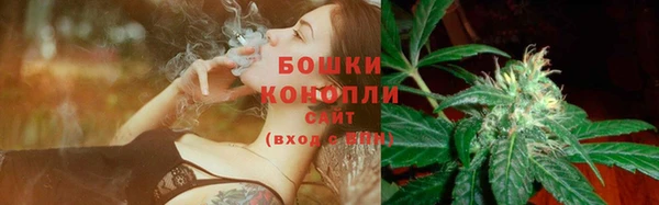 спиды Богородицк